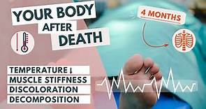 What happens to our bodies after death? | End-of-Life care