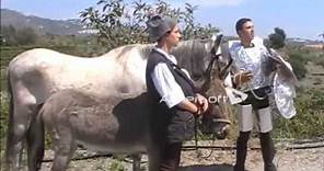 Don Quijote y Sancho panza