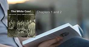 White Cowl 💛 By James Lane Allen FULL Audiobook
