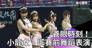 養眼時刻！味全龍啦啦隊小龍女、統一獅啦啦隊Uni Girls開場表演