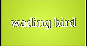 Wading bird Meaning