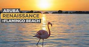 Renaissance Aruba Resort review + Private Flamingo Island