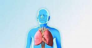 Rehabilitación pulmonar