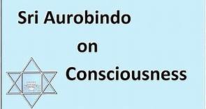 Sri Aurobindo on Consciousness