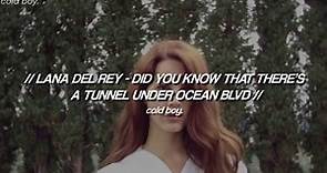 Lana Del Rey - Did you know that there's a tunnel under Ocean Blvd (Lyrics)