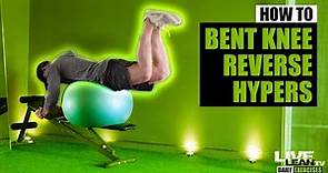 How To Do A Bent Knee Swiss Ball Reverse Hyperextension On Bench | Exercise Demonstration Video