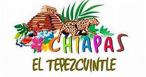 Chiapas - El Tepezcuintle