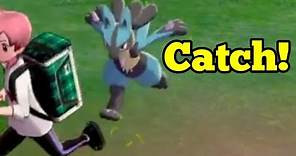 Catch Lucario. 100% Encounter Rate - And Location of Justified. Pokemon Sword Shield Riolu & Lucario