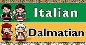 ITALIAN & DALMATIAN