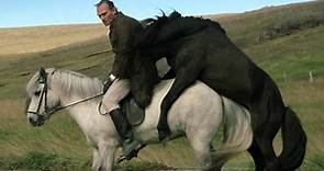 Storie di cavalli e di uomini, Il trailer del film - HD - Film (2015)