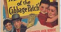 Mrs Wiggs of the Cabbage Patch (1942 film) - Alchetron, the free social encyclopedia