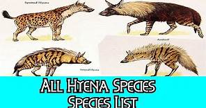 All Hyena Species - Species List