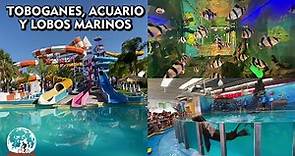 Splash Parque Acuatico En Silao Guanajuato - Acuario Show De Lobos Marinos Y Toboganes - Noecillo