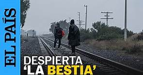 MÉXICO | El recorrido de los migrantes a bordo del tren 'La Bestia' | EL PAÍS