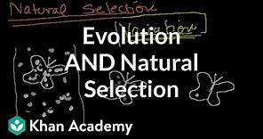 Introduction to Evolution and Natural Selection
