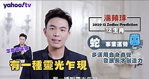 【蛇】2020 生肖事業運勢 - 湯鎮瑋生肖運勢
