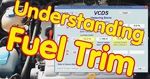 Understanding Fuel Trim by Ross-Tech
