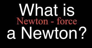 What is a Newton? An Explanation