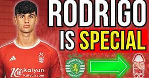 Nottingham Forest Have Landed A GEM In Rodrigo Ribeiro