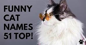 😺 Funny Cat Names 51 FUNNIEST & BEST & CUTE Ideas | Names