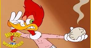 Woody Woodpecker Show | Chicken Woody | Full Episode | Cartoons For Children