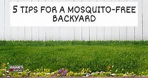 5 Tips for a Mosquito Free Backyard