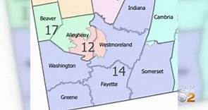 Pa. Supreme Court Picks New Map Of U.S. House Districts