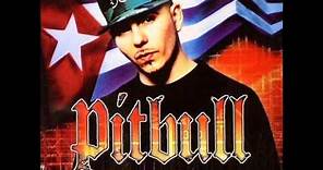 Pitbull - 305 Anthem (feat. Lil Jon)