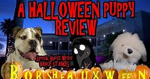 A Halloween Puppy Review