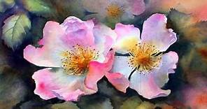 Watercolor Painting_Ann Mortimer (HD1080p)