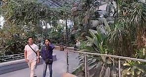 El Jardín Tropical de la Estación de Atocha Madrid