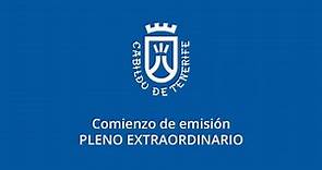 Plenos extraordinarios del Cabildo de Tenerife, 15 de marzo de 2023