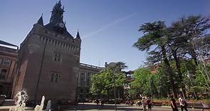 L'Université de Toulouse