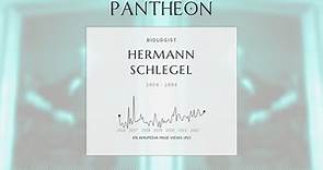 Hermann Schlegel Biography - German ornithologist, herpetologist and ichthyologist
