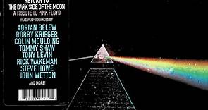 Various - Return To The Dark Side Of The Moon