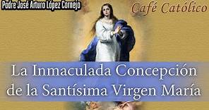 La Inmaculada Concepción de María - ☕ Café Católico - Padre Arturo Cornejo ✔️