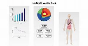 Vector Files - What are vectors, and how should they be saved?