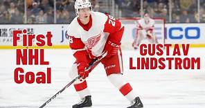 Gustav Lindstrom #28 (Detroit Red Wings) first NHL goal Feb 14, 2022