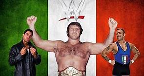 TOP 5 Wrestler Italiani in WWE