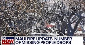 Maui fire update: Number of missing falls to 66, Hawaii Governor says | LiveNOW from FOX