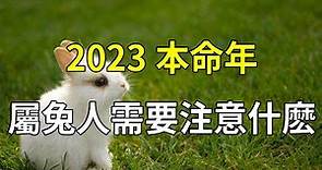 2023本命年屬兔人需要注意什麼，2023年本命年大忌！佩戴這幾樣就可以轉運【禪易】