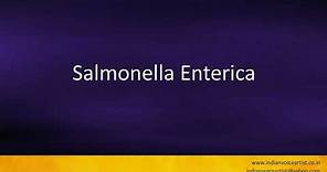 Pronunciation of the word(s) "Salmonella Enterica".