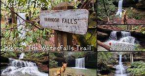 Hiking "The Waterfalls Trail" - Vanhook Falls - Daniel Boone National Forest - Kentucky - 1/29/24