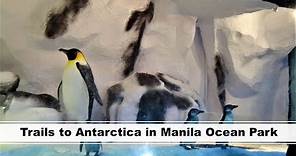 Trails to Antarctica in Manila Ocean Park | Manila, Philippines