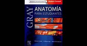 Gray Anatomía para Estudiantes - 3a edición PDF descargar