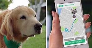 Wag! The #1 On-Demand Dog Walking App!