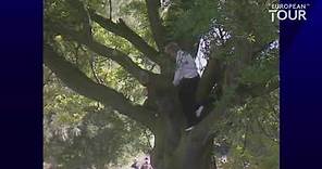 Bernhard Langer climbs a tree to hit golf shot