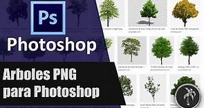Pack con mas de 800 arboles PNG para Photoshop y sketchup
