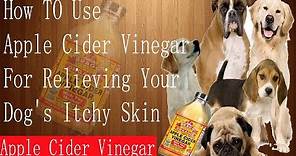 How To Use Apple Cider Vinegar For Relieving YOur Dog's Itchy Skin