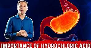 The Importance of Hydrochloric acid (HCL) in the Stomach – Dr. Berg
